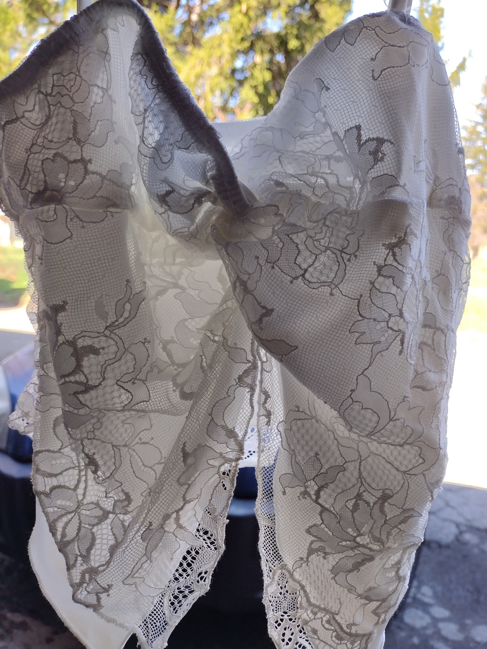 Sheer Lace Floral Camisole